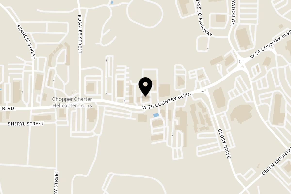 Map showing the location of Gettin' Basted Branson on 2845 W 76 Country Blvd in Branson